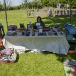 Mindful Meadow, yoga and wellness