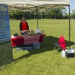 Mindful Meadow, yoga and wellness