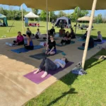 Mindful Meadow, yoga and wellness