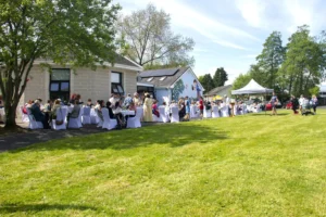 People enjoying tea in the sunshine