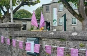 Maria Edgeworth Centre dressed in Heritage Week flags