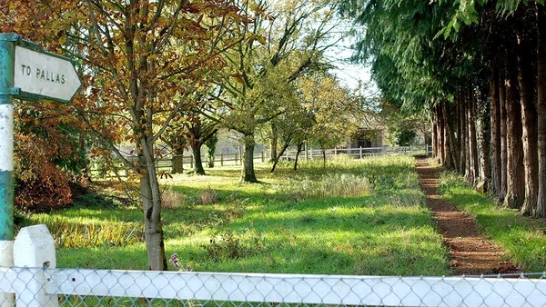 Pallas Woodlands, part of Longford Literary Trail