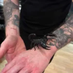 Man with scorpion at the Midlands Bug and Reptile Zoo