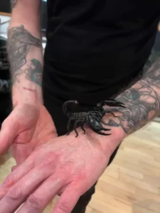 Man with scorpion at the Midlands Bug and Reptile Zoo